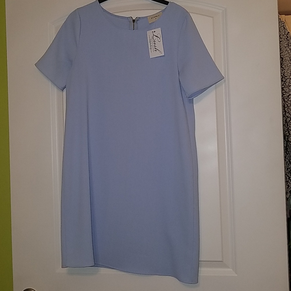 Nwt Everly shift dress sz Medium